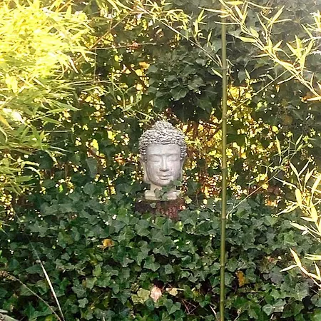 La Tour D'heloise - 10' De Bruxelles Nocleg ze śniadaniem