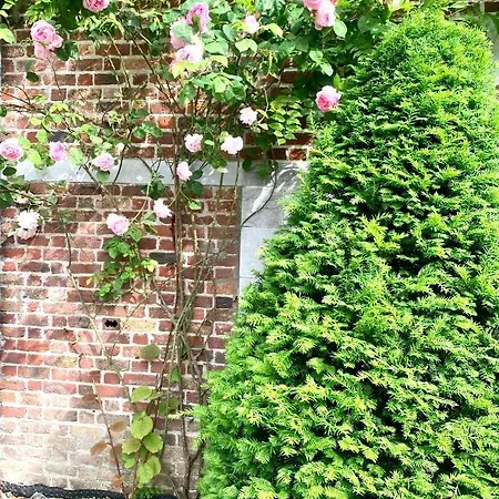 La Tour D'heloise - 10' De Bruxelles Nocleg ze śniadaniem 3*