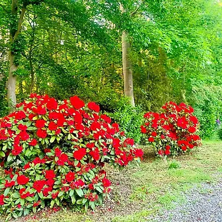 La Tour D'heloise - 10' De Bruxelles B&B 3*